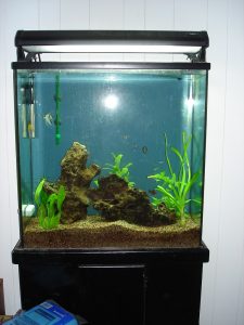 Fish Tank with cover