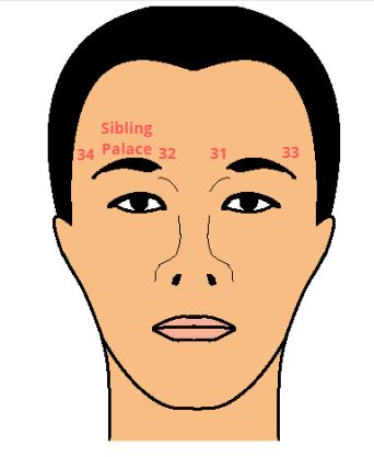 Sibling Palace - Face Reading