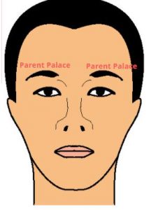 Face Reading - Parent Palace