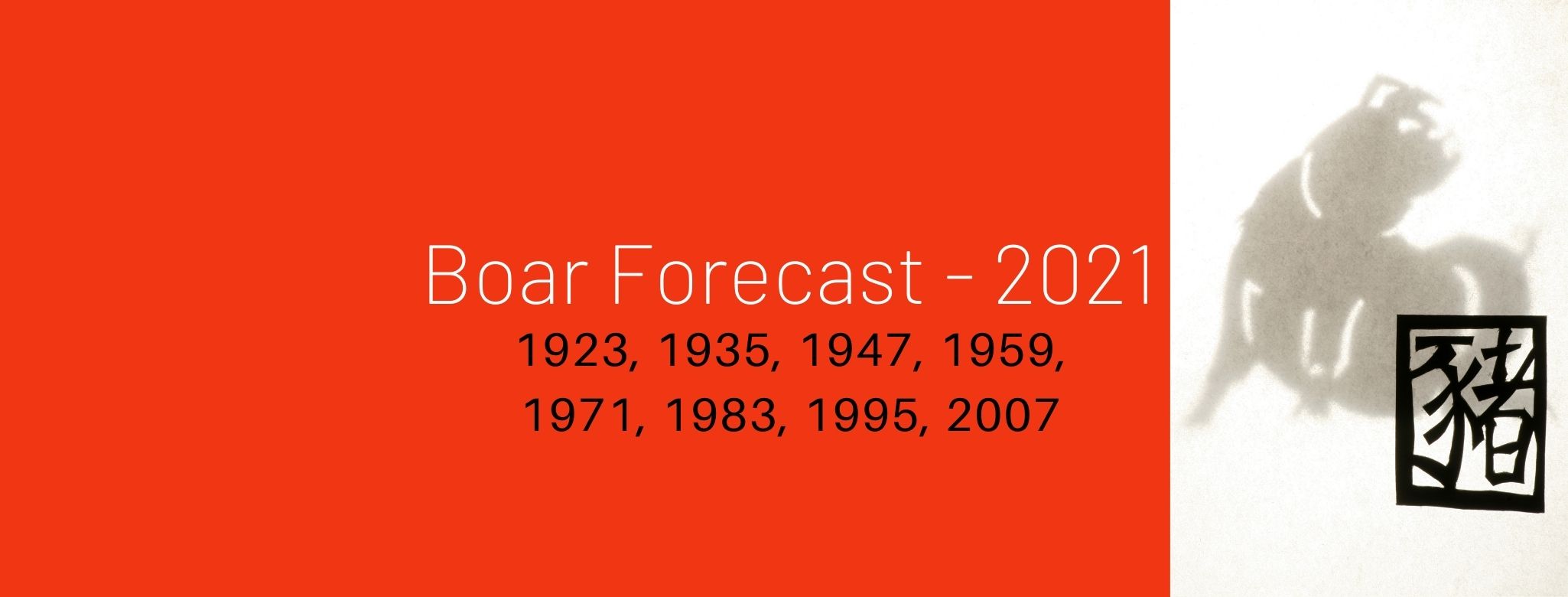 Boar Zodiac Forecast - 2021