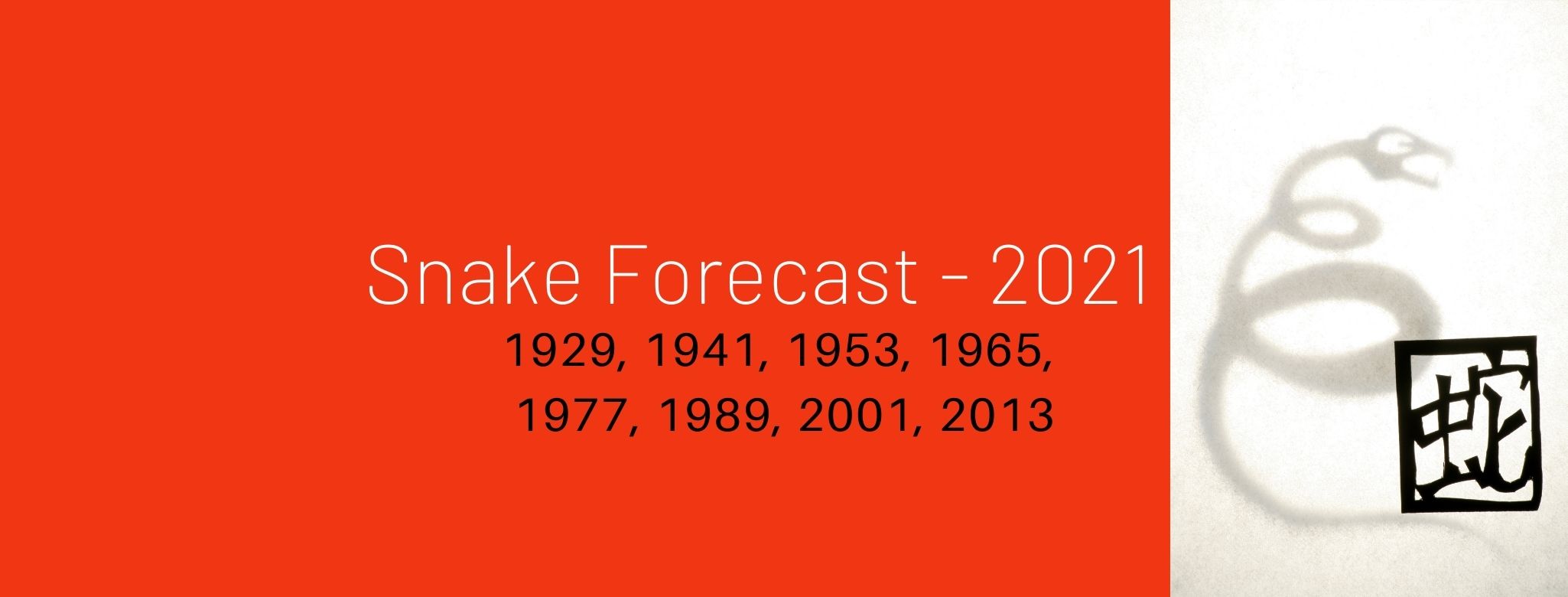 Snake Zodiac Forecast - 2021