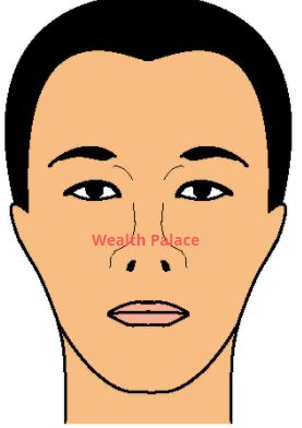 Face Reading - Wealth Palace Position