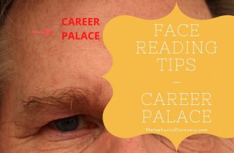 Face Reading - Career Palace