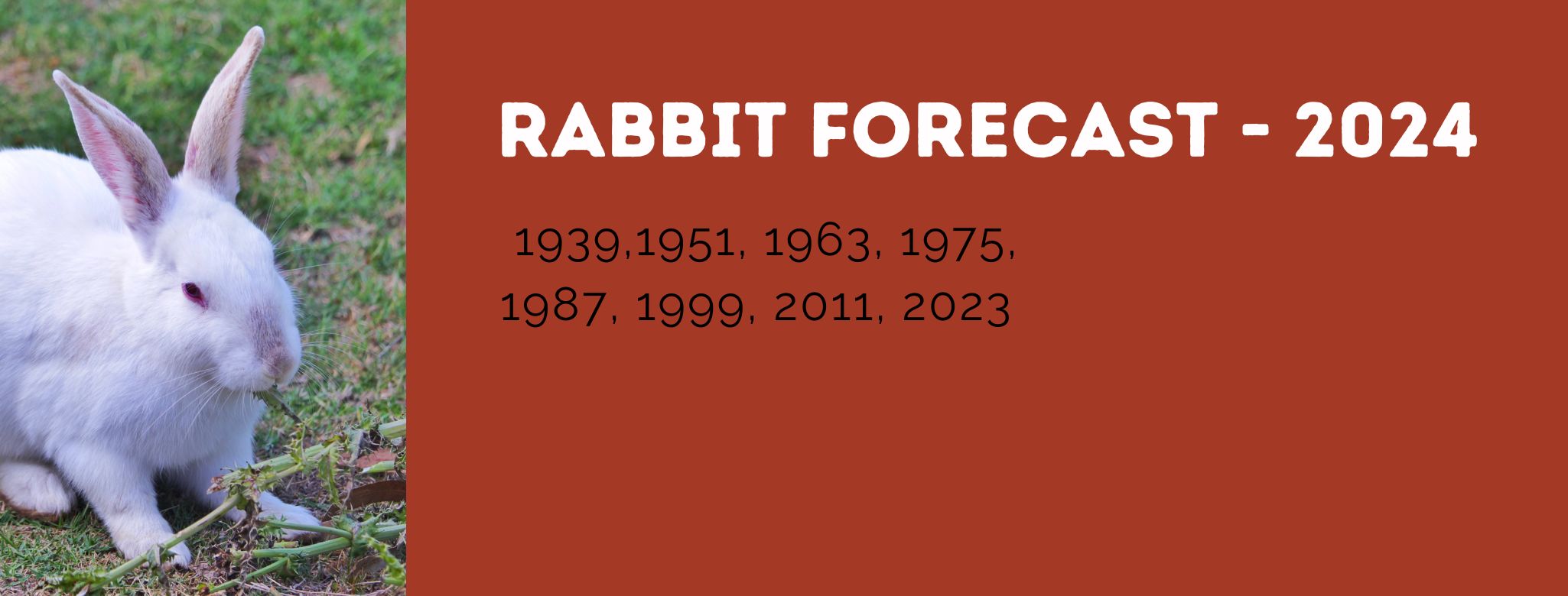 Rabbit Zodiac Forecast - 2024