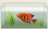 Benefits of Using Fish Tank- FengShui Tips