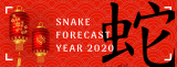 Snake Zodiac Forecast for Year 2020