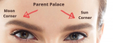 Know More and Understand About Parent Palace- Face Reading Tips