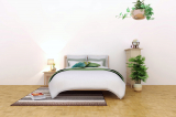 Will Placing Plants in Bedroom Improve Fengshui ?